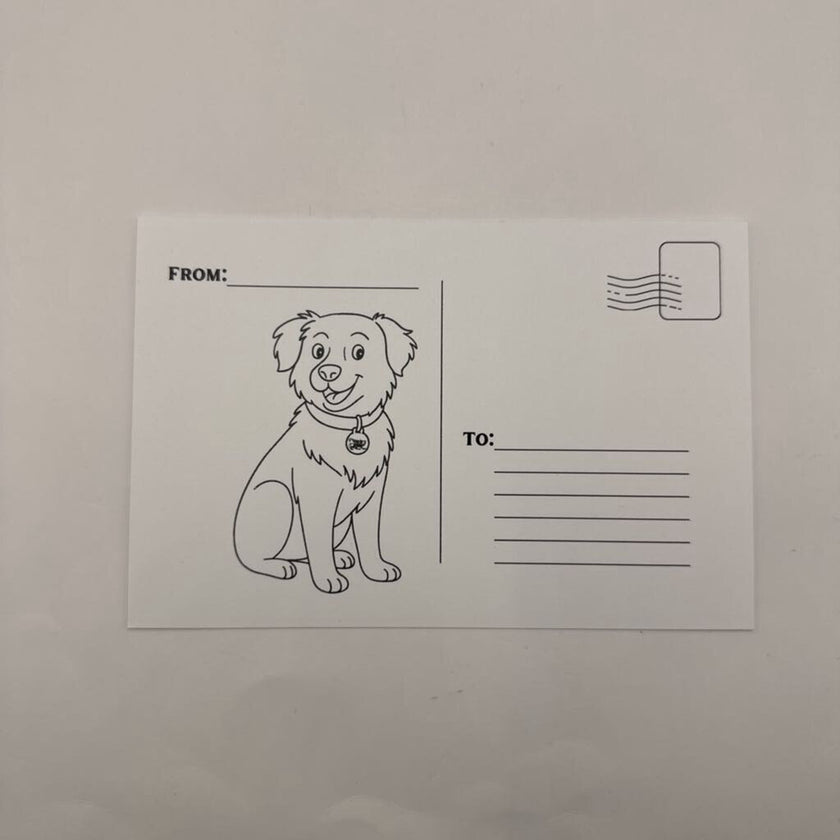 Kids club Snail Mail (Nov. 2025)