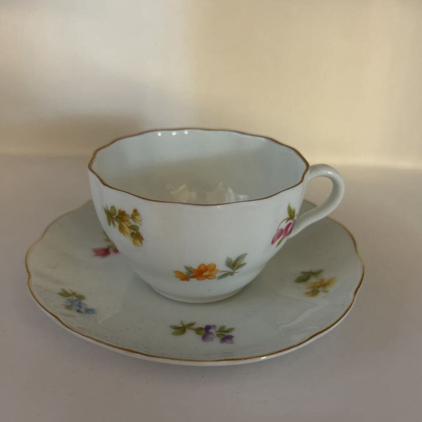 Vintage Meissen porcelain teacup and saucer with scattered floral pattern
