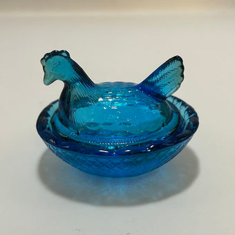 Blue Miniature Hen on Nest