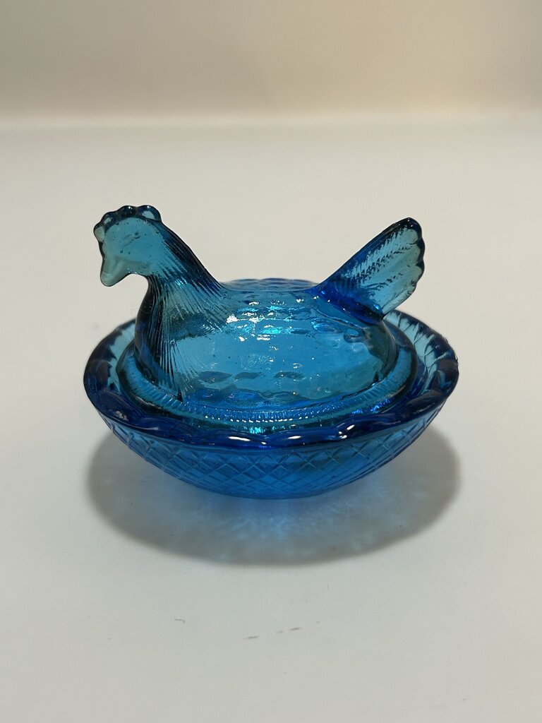 Blue Miniature Hen on Nest