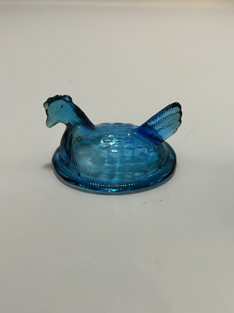 Blue Miniature Hen on Nest