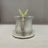 Precious moments cup and saucer