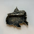Washington DC Trinket