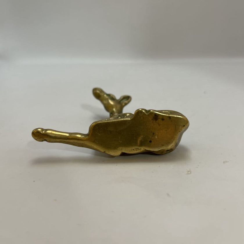 Brass giraffe