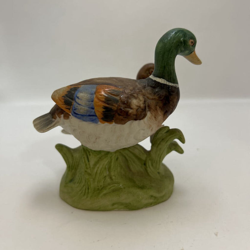 Ceramic pair of ducks