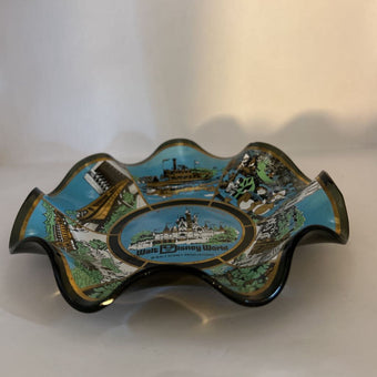 Disney dish