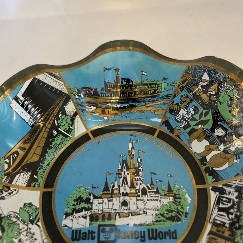 Disney dish