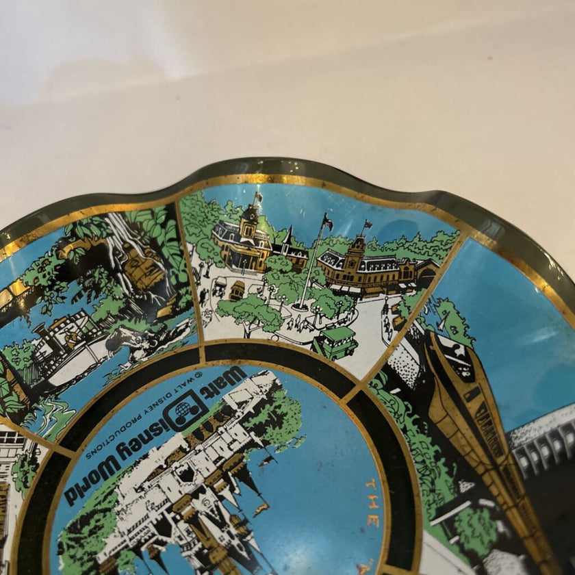Disney dish