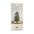 LUX1105 - Gold Tinsel