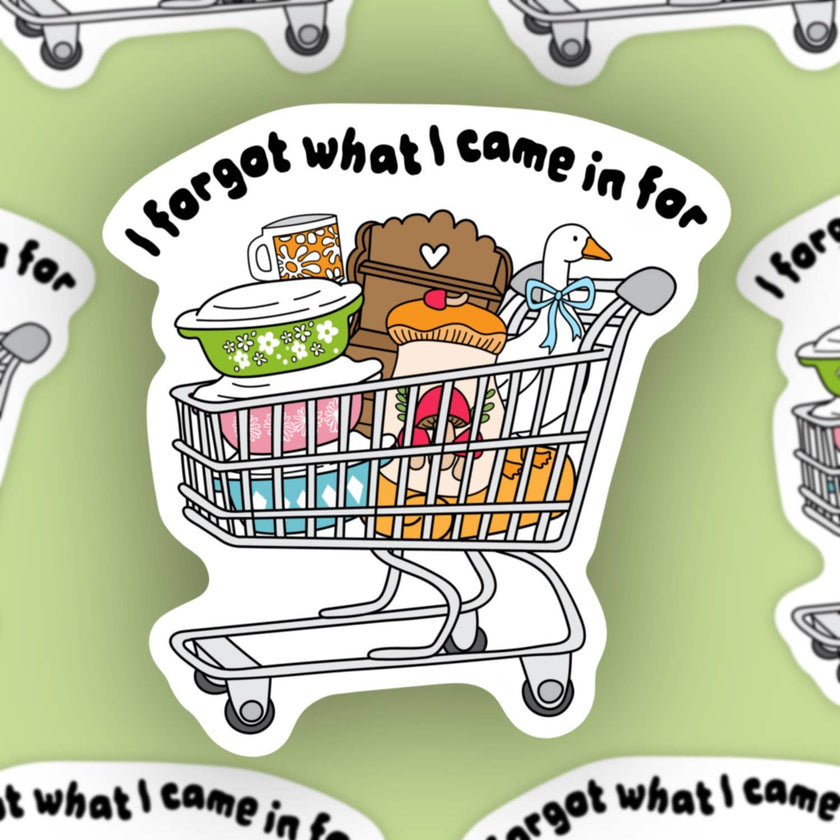 I forgot what I came in for, thrifty silly goose sticker