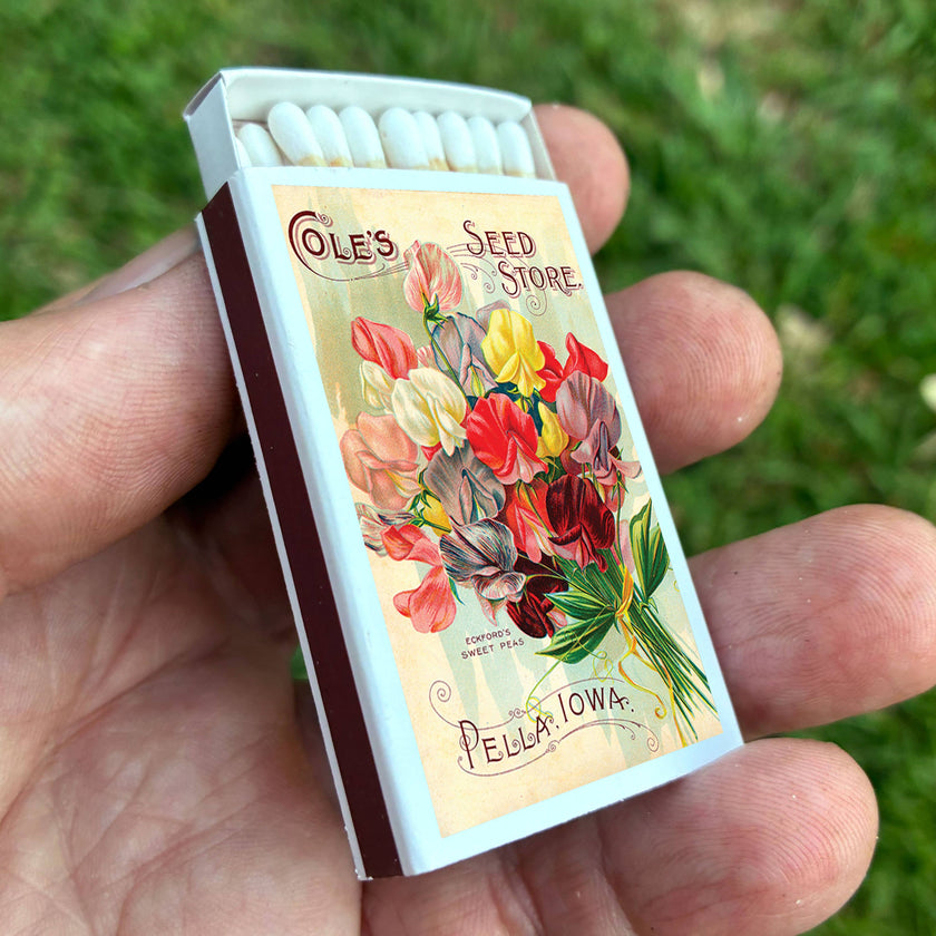 Matches • Sweet Pea Flowers • Home Decor for Candles