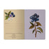 A5 Notebook - Wild Blueberry