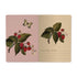 A5 Notebook - Wild Raspberry