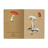Mushrooms on White