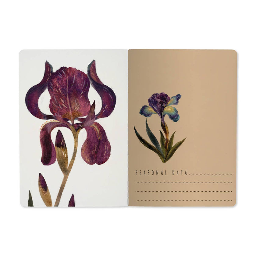 Irises