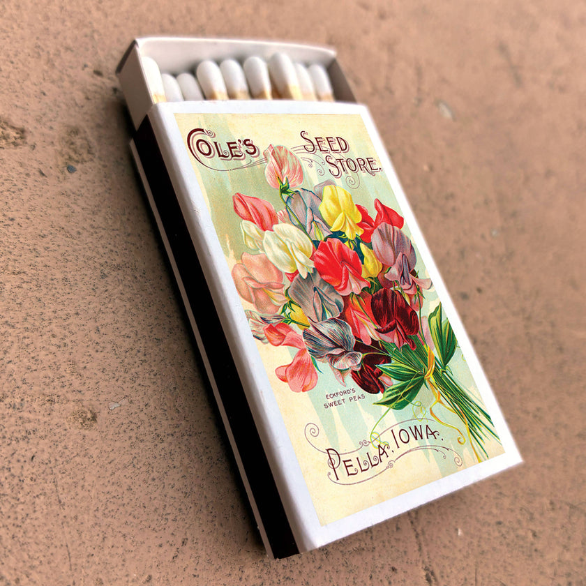 Matches • Sweet Pea Flowers • Home Decor for Candles
