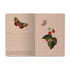 A5 Notebook - Butterflies and Berries