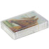 Horse Family Playing Cards